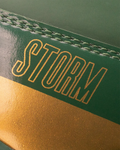 FLY STORM BOXING BOOTS GREEN/GOLD