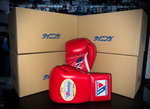 WINNING PRO FIGHT BOXING GLOVES RED